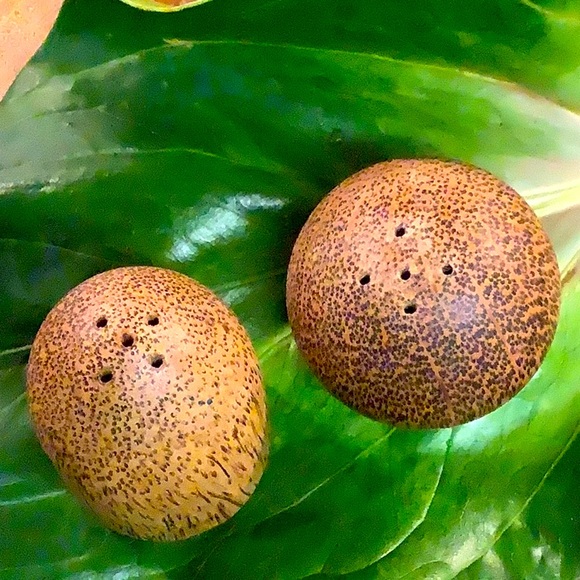 Unique and Unbranded Salt and Pepper Shakers - possibly coconut shell - Picture 3 of 8
